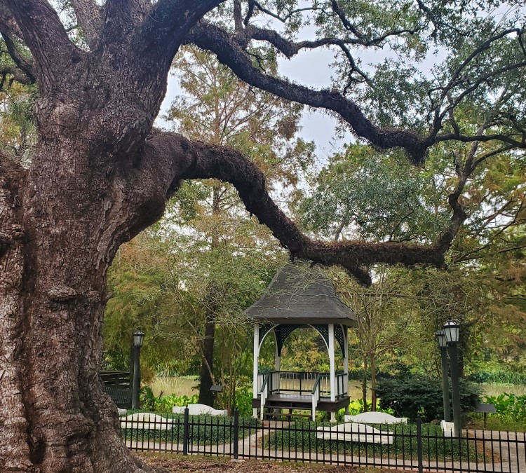 evangeline-oak-park-photo